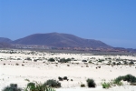 Ветер приносит на восточное побережье острова Фуэртевентура песок из Сахары.