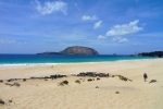 Вид на Монтанью Клару с пляжа La Conchas или же
