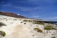 Велосипедная дорожка вдоль западного берега.
Впереди отрог горного массива Las Agujas