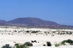Ветер приносит на восточное побережье острова Фуэртевентура песок из Сахары. До побережья Африки тут менее 100 километров.