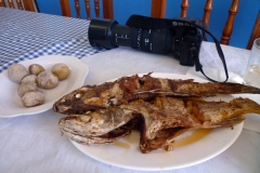 Рыба и картошка, сваренная в морской воде - довольно типичная еда на Канарских островах.